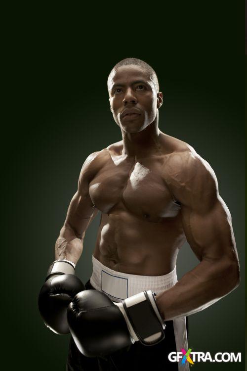 iStockPhoto: Amazing Boxer - 14xJPG