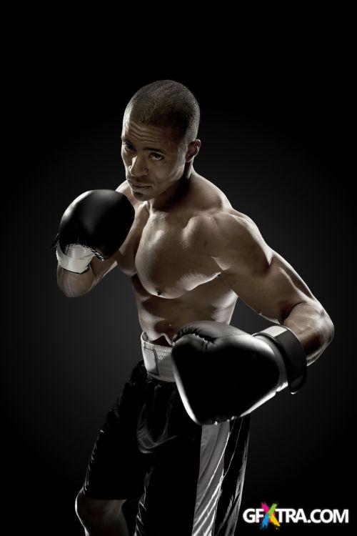 iStockPhoto: Amazing Boxer - 14xJPG