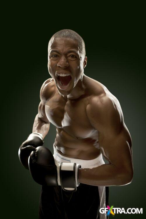 iStockPhoto: Amazing Boxer - 14xJPG