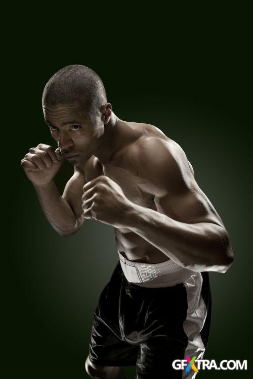 iStockPhoto: Amazing Boxer - 14xJPG