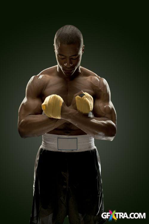 iStockPhoto: Amazing Boxer - 14xJPG