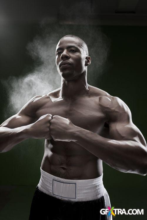 iStockPhoto: Amazing Boxer - 14xJPG