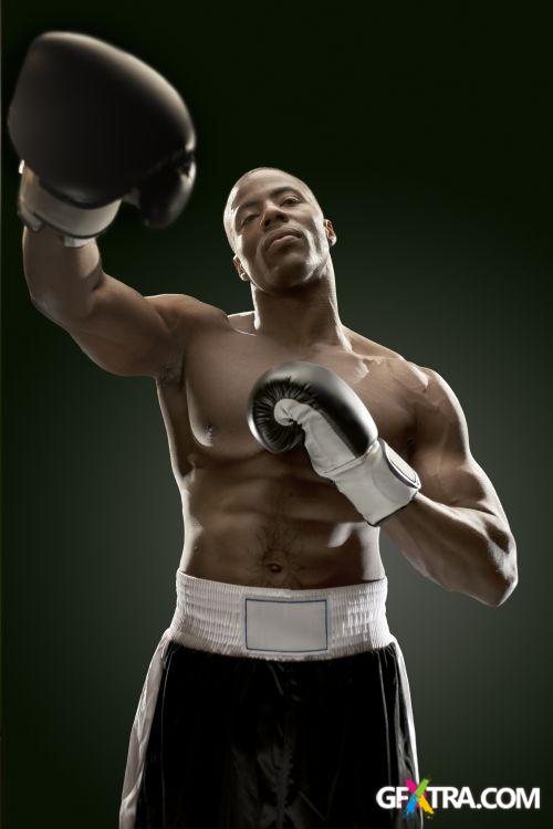 iStockPhoto: Amazing Boxer - 14xJPG