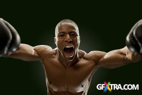 iStockPhoto: Amazing Boxer - 14xJPG