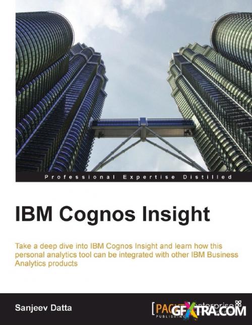 IBM Cognos Insight