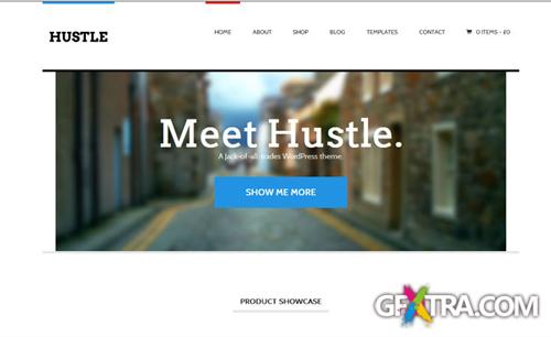 WooThemes - Hustle v1.0 - Wordpress Template