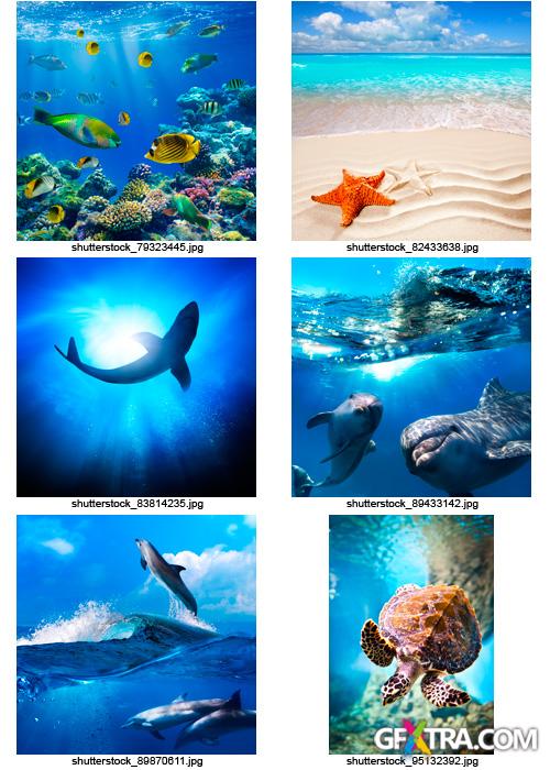 Amazing SS - Ocean & Underwater World, 25xJPGs