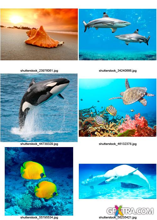 Amazing SS - Ocean & Underwater World, 25xJPGs