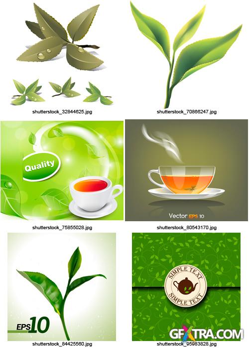 Amazing SS - Tea Elements, 25xEPS