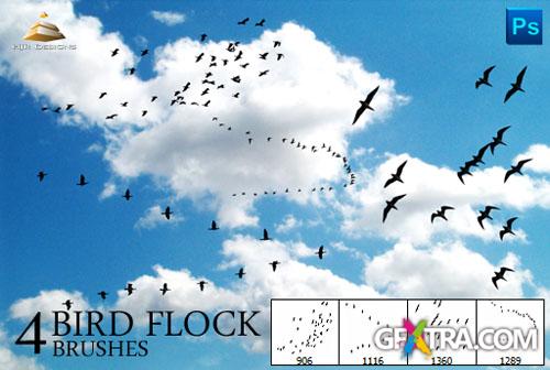 4 Bird Flock Photoshop Brushes #1