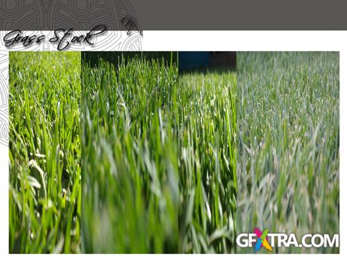 Grass Stock Textures