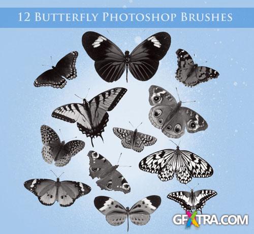 12 Butterfly Photoshop Brushes