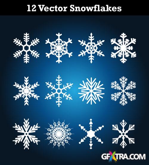 12 Vector Snowflakes