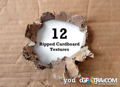 12 Ripped Cardboard Textures