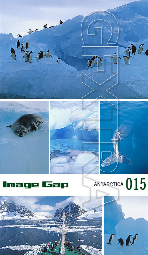 Image Gap IG015 Antarctica