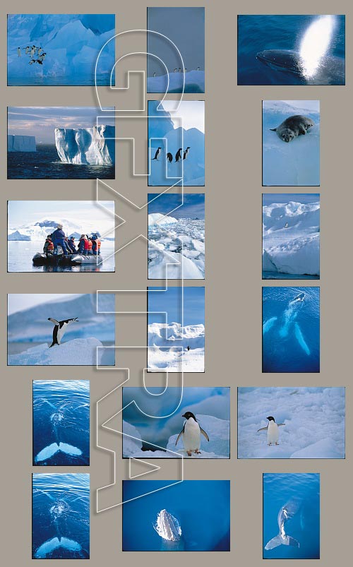 Image Gap IG015 Antarctica