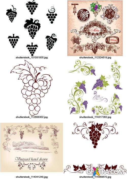 Amazing SS - Grapes & Winemaking, 25xEPS