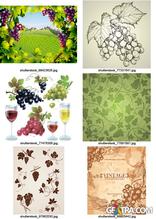 Amazing SS - Grapes & Winemaking, 25xEPS