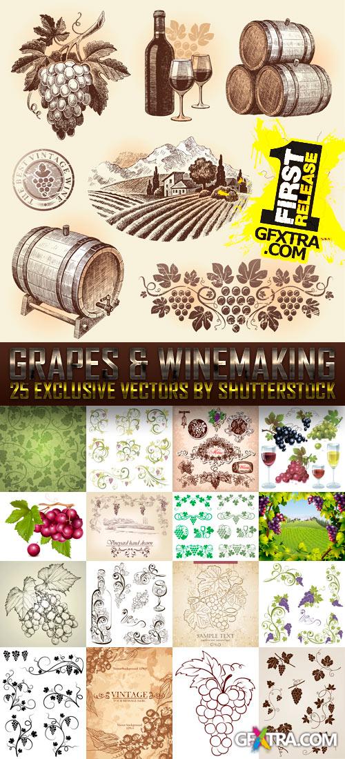 Amazing SS - Grapes & Winemaking, 25xEPS