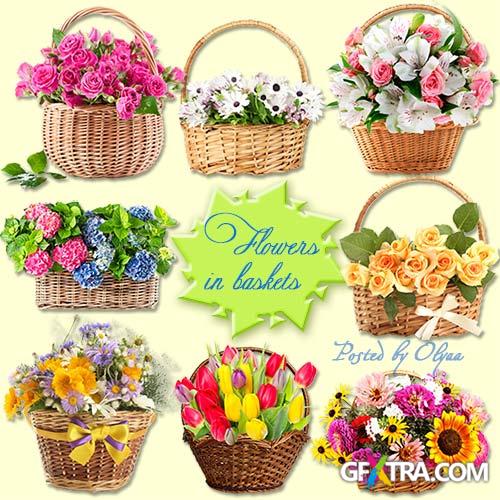 Klipart PNG on a transparent background ? Flowers in baskets