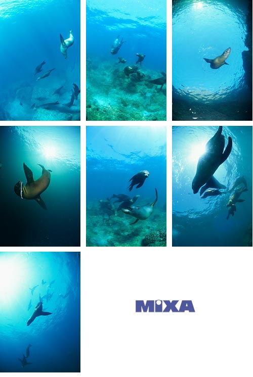 Mixa MX179 Seals