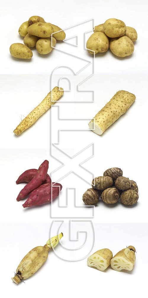 Mixa MX177 Fresh Fruits & Vegetables