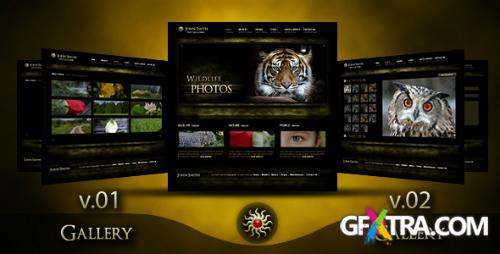 ThemeForest - Modern Photographer Portfolio - 2 Gallery versions