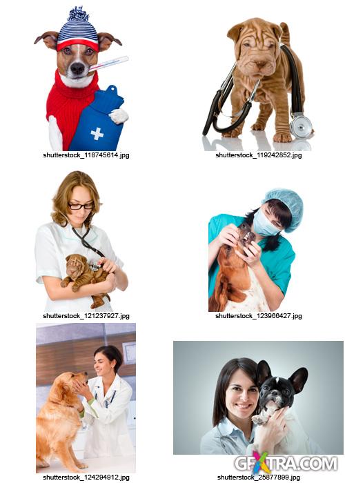 Amazing SS - Veterinarian, 25xJPGs