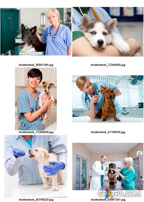 Amazing SS - Veterinarian, 25xJPGs