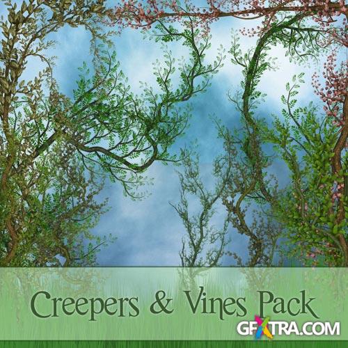 Clipart - Grape vines