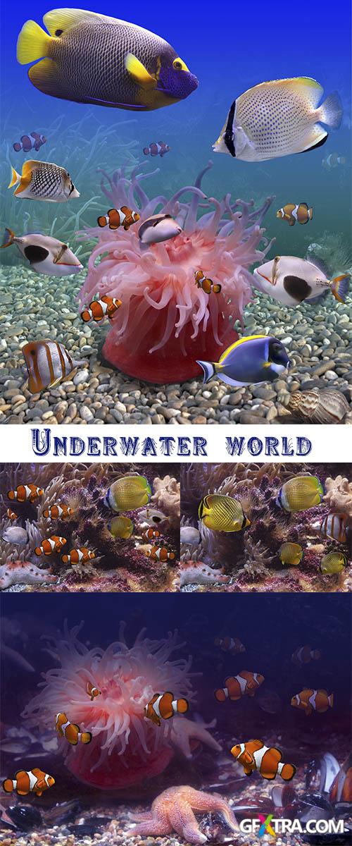 Stock Photo: Underwater world, fishes and seabed