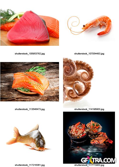 Amazing SS - Fish & Seafood, 25xJPGs