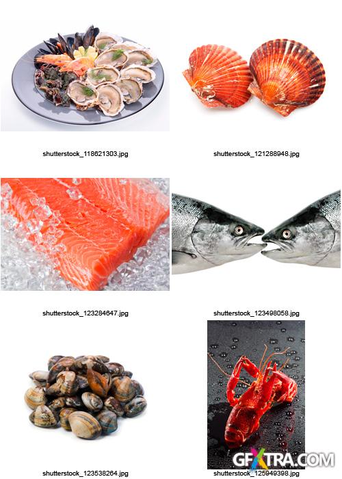 Amazing SS - Fish & Seafood, 25xJPGs