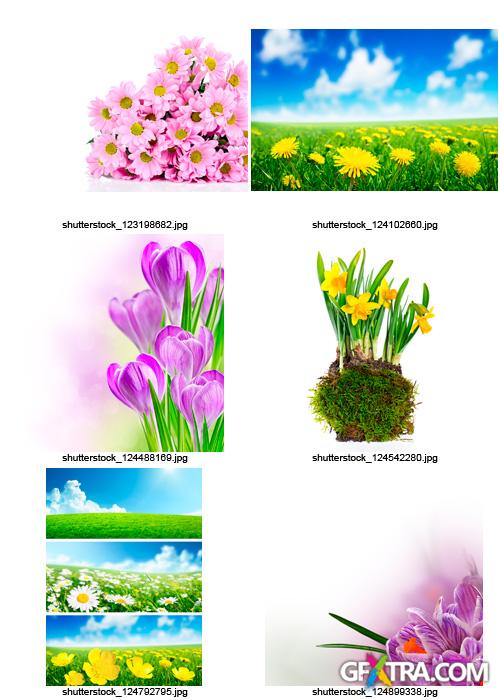 Amazing SS - Spring Flowers, 25xJPGs