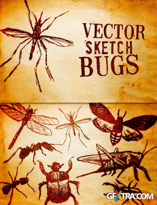 WeGraphics - Illustrated Bug Vectors