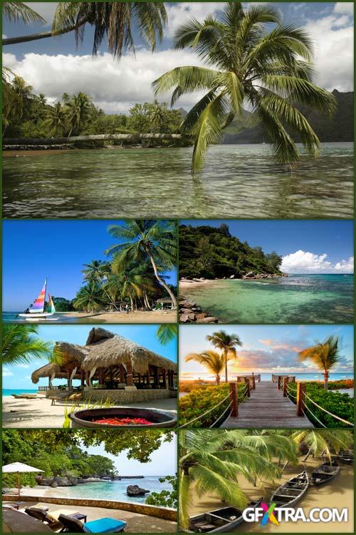 Wallpapers - Tropical Paradise