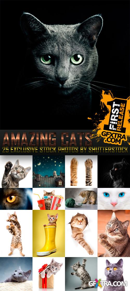 Amazing SS - Cats, 25xJPGs