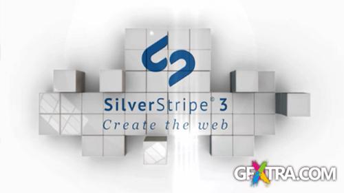 SilverStripe CMS v3.1.0