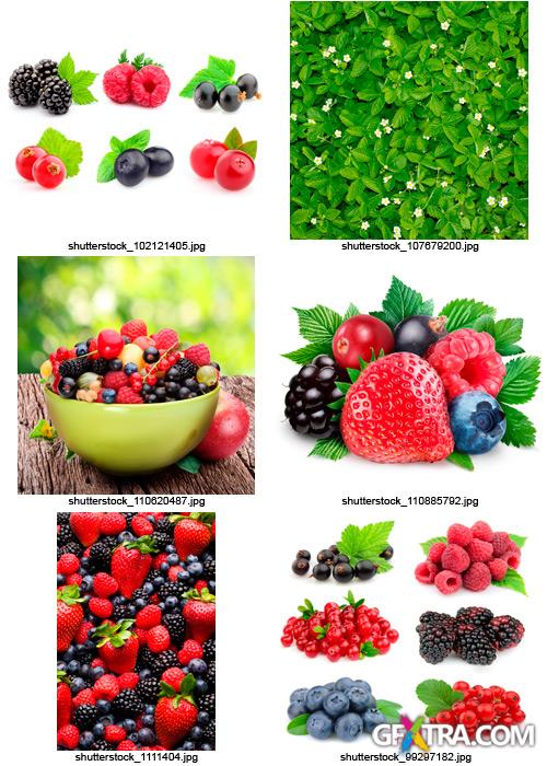 Amazing SS - Fresh Berries, 25xJPGs