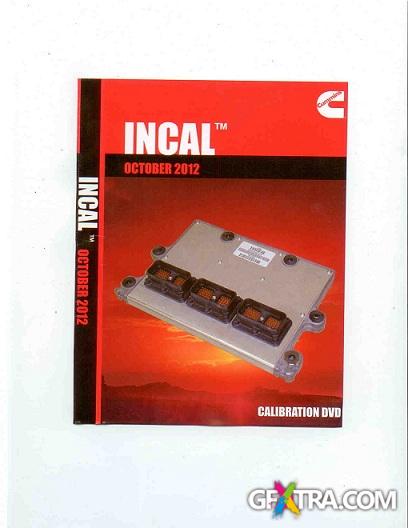 INCALL (12.2012)