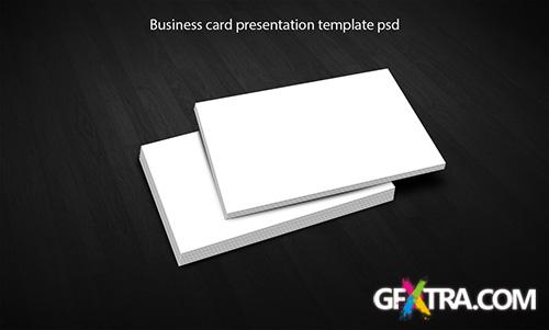 Business Card Presentation Templates PSD