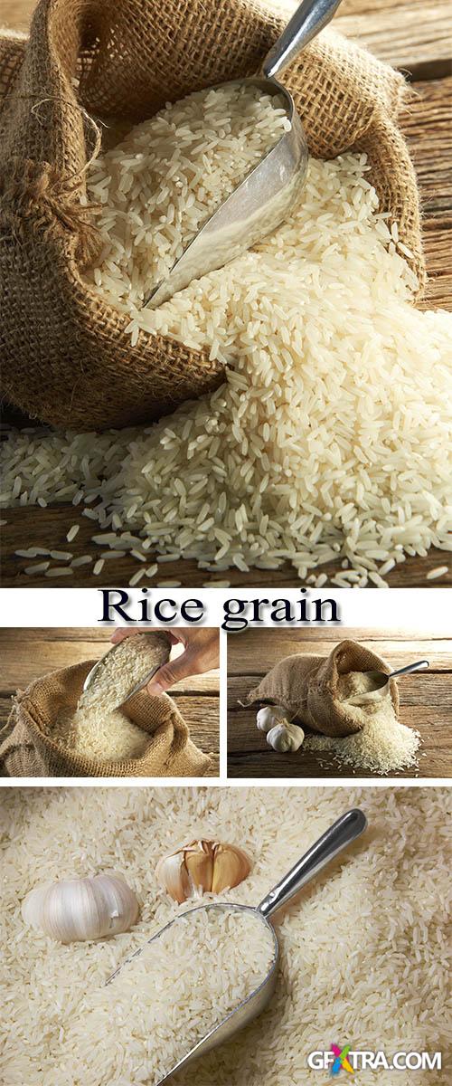 Stock Photo: Rice grain