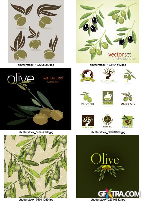 Amazing SS - Collections of Olive Elements 2, 25xEPS