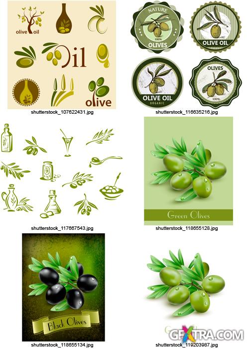 Amazing SS - Collections of Olive Elements 2, 25xEPS