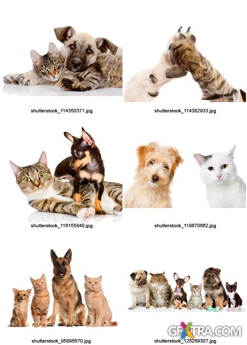 Amazing SS - Dogs & Cats, 25xJPGs