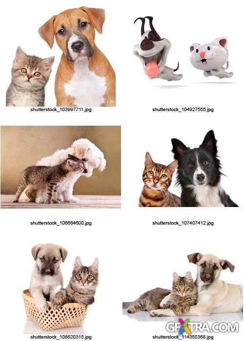 Amazing SS - Dogs & Cats, 25xJPGs