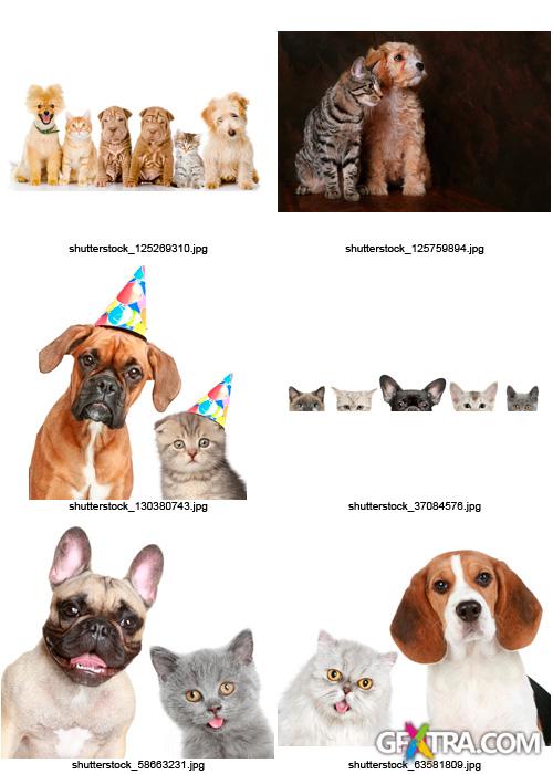 Amazing SS - Dogs & Cats, 25xJPGs