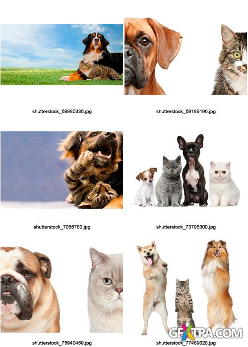 Amazing SS - Dogs & Cats, 25xJPGs