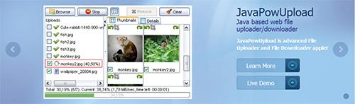 JavaPowUpload v2.2.1 Enterprise