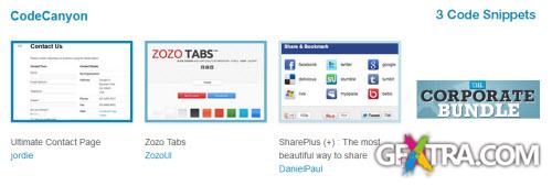 Corporate Bundle 2013 - 3 Code Snippets (CodeCanyon)